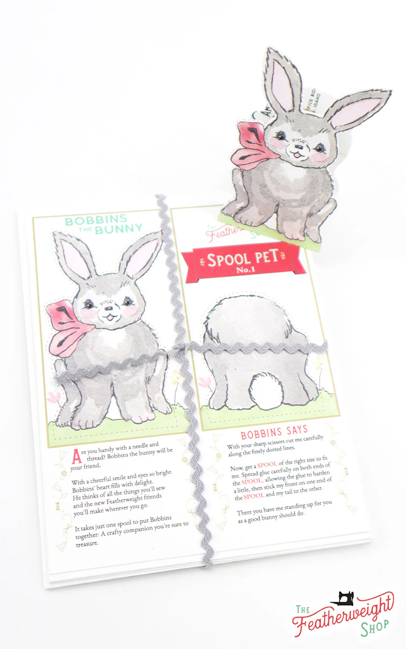 Postcard Spool Pet, Bobbins the Bunny (Bundle of 5) - Image 9
