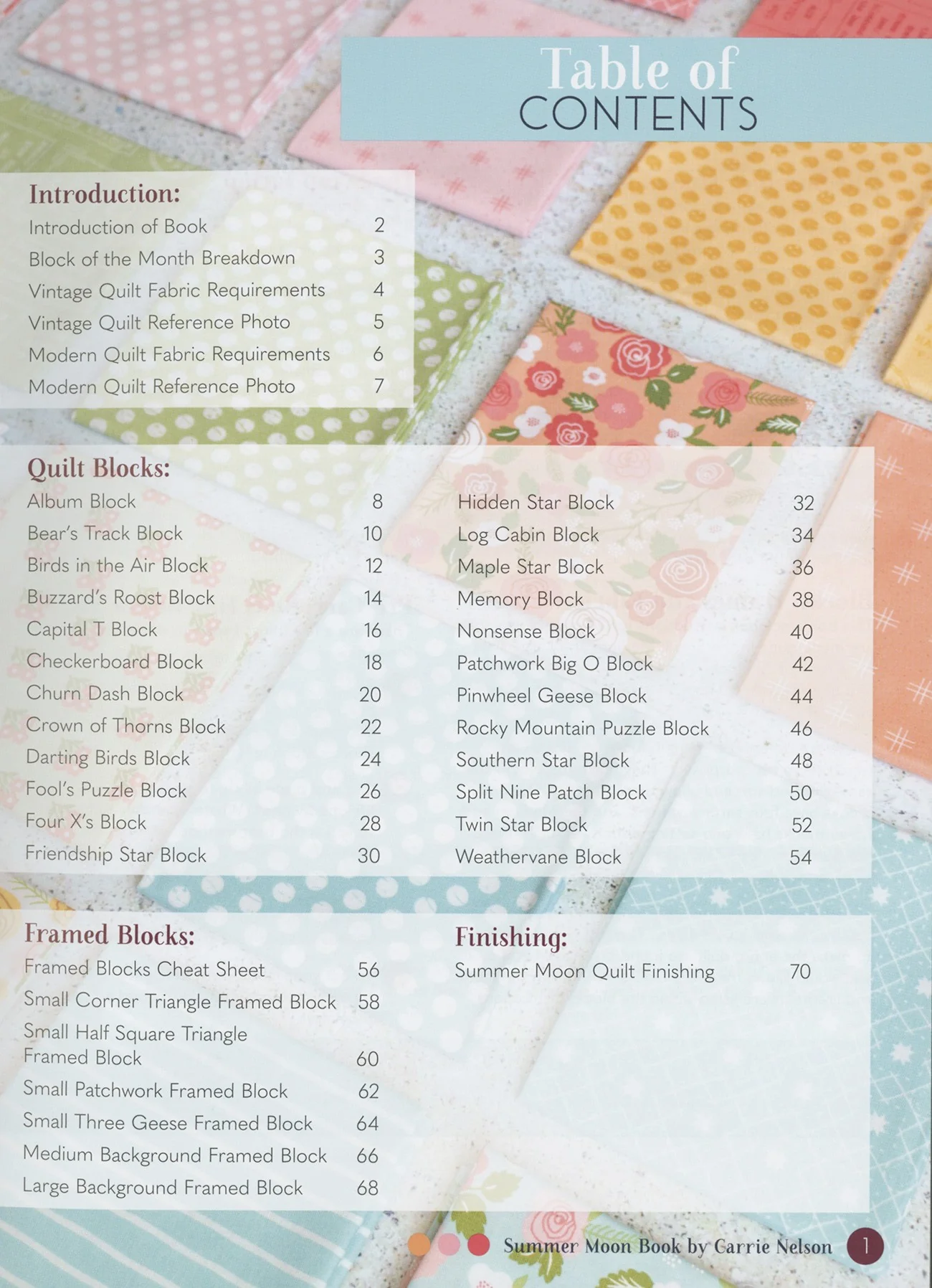PATTERN BOOK, Summer Moon Sampler Quilt by Carrie Nelson - Image 8